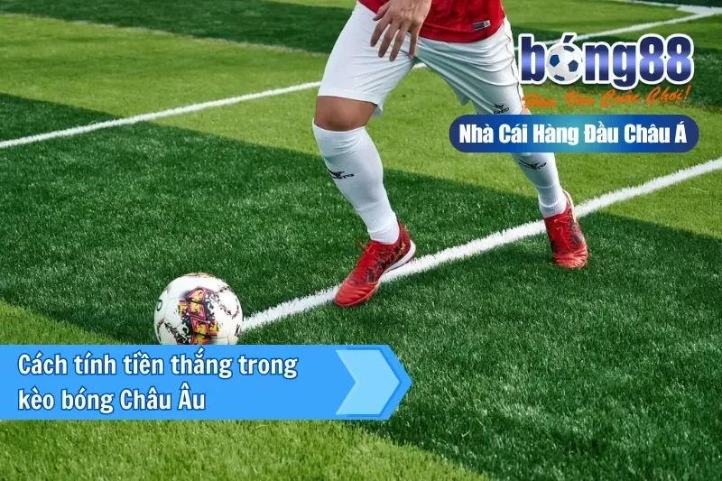 Cách tính tiền thắng trong kèo bóng Châu Âu