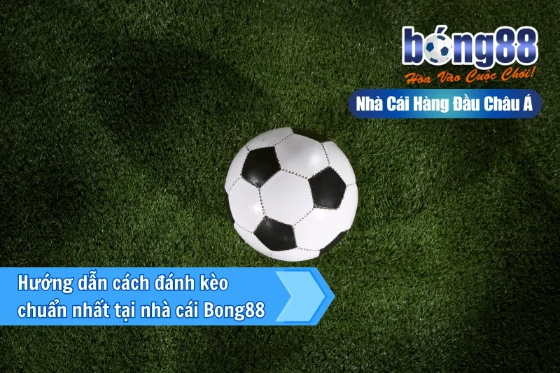 Hướng dẫn cách đánh kèo chuẩn nhất tại nhà cái Bong88 