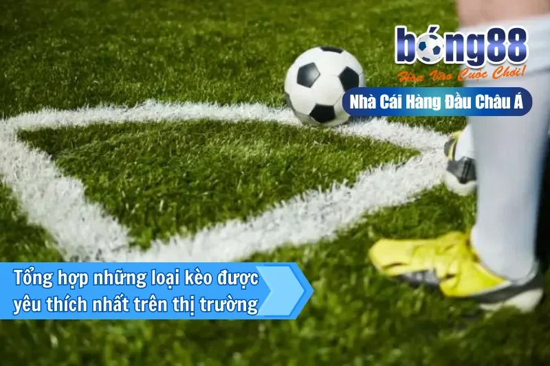 Tổng hợp những loại kèo được yêu thích nhất trên thị trường 