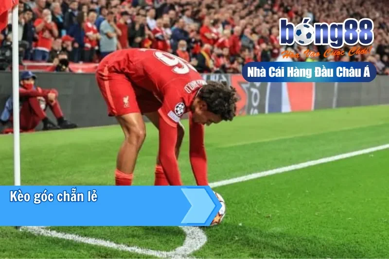 Kèo góc chẵn lẻ 