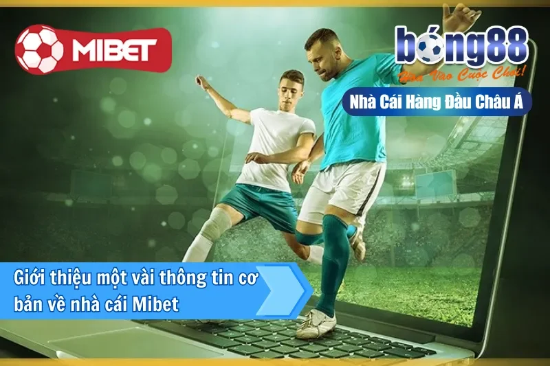 Giới thiệu một vài thông tin cơ bản về nhà cái Mibet
