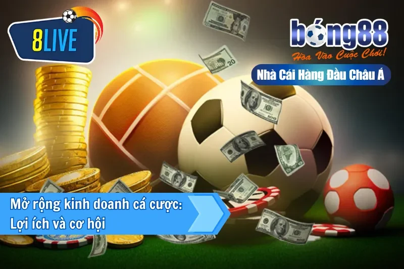 Đại Lý 8LIVE 3 Lợi ích và cơ hội khi mở rộng kinh doanh cá cược