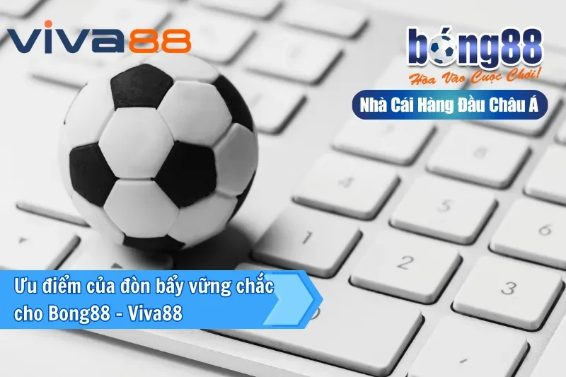 Ưu thế vượt trội mà đại lý Viva88 đã mang đến cho Bong88