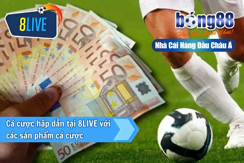 Đại Lý 8LIVE 6 Tổng hợp sản phẩm cá cược đỉnh cao trên thị trường 2025