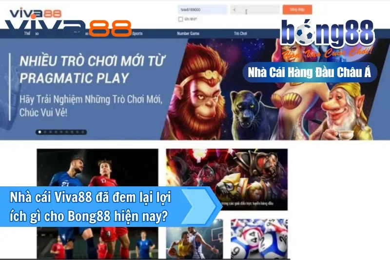 Thế mạnh vững chắc cho Bong88 khi đại lý là Viva88