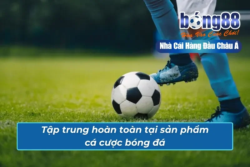 Trang Chủ 40 Bong88 tập trung phát triển chủ lực cá cược bóng đá