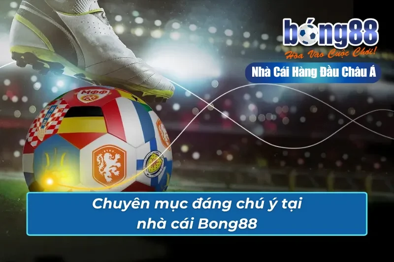 Trang Chủ 41 Chuyên mục đáng chú ý mang tới nhiều điều thú vị và hữu ích