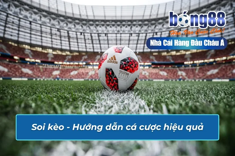 Trang Chủ 42 Cập nhật chi tiết thông tin kèo cược tại Bong88